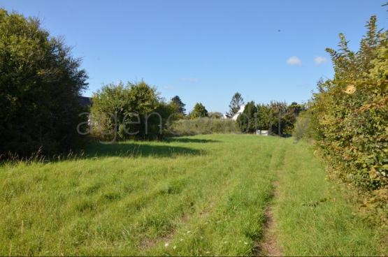 A quelques pas de commerces de bouche, non loin de Palais,