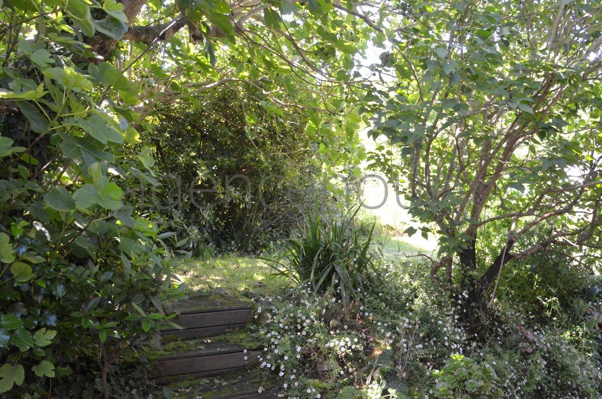 A cinq minutes � pied d'une plage intimiste, cette petite maison ancienne, simple, chaleureuse nous a imm�diatement s�duits.