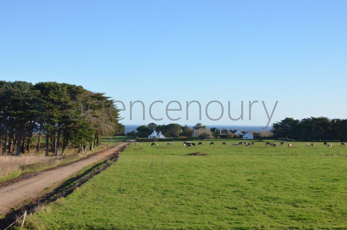 Rares sont les maisons qui offrent � Belle-Ile une telle tranquillit� et un si beau panorama. 