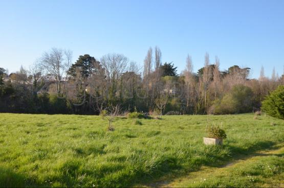 A l'extr�mit� d'un hameau, � un quart d'heure � pied du centre de Palais, cette vaste maison marie ambiance chaleureuse et fonctionnalit�.