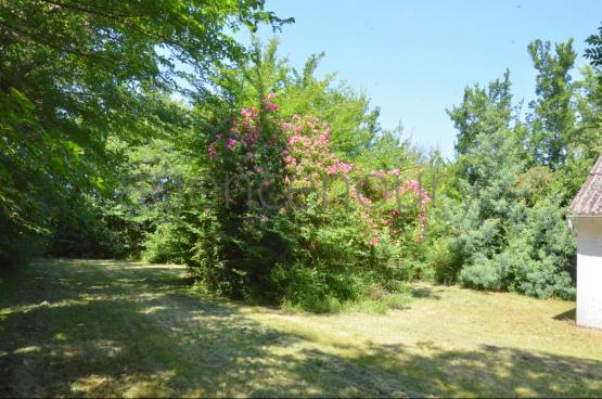 A lextrmit dun village se niche derrire un verdoyant rideau dormes ce terrain de 1230m, en partie constructible. 