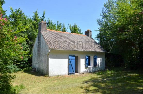 A lextrmit dun village se niche derrire un verdoyant rideau dormes ce terrain de 1230m, en partie constructible. 