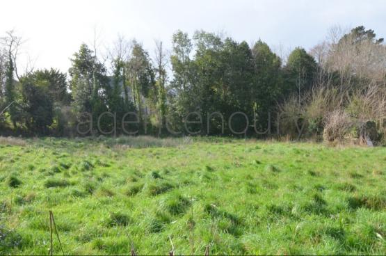 Il est envisageable d'�difier deux maisons sur ce beau terrain.