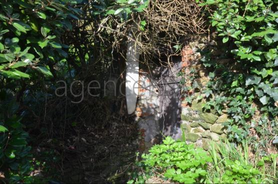 Ce terrain est situ� � 150 m�tres du port de Sauzon.